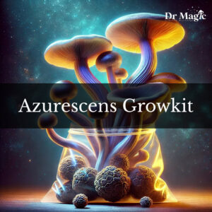 Growkit Azurescens to zaawansowany zestaw do hodowli grzybni Psilocybe azurescens, jednego z najsilniejszych gatunków grzybów psychoaktywnych, występujących naturalnie na północno-zachodnim wybrzeżu Pacyfiku. Inaczej ten gatunek nazywany jest „azzies” oraz „flying saucers”.