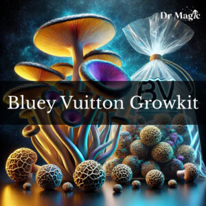 Bluey Vuitton Growkit to profesjonalny zestaw do hodowli jednego z najpotężniejszych szczepów grzybów psylocybinowych – Psilocybe cubensis Bluey Vuitton.