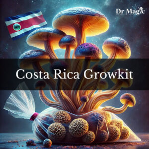 Costa Rica Growkit to kompletny zestaw do hodowli grzybów z gatunku Psilocybe cubensis, znanej jako odmiana "Costa Rica", która wywodzi się z terenów otaczających wulkan Arenal znajdujący się na Kostaryce. Zestaw zawiera sterylne podłoże, grzybnię oraz niezbędne akcesoria do rozpoczęcia uprawy