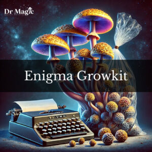 Enigma Growkit to wyjątkowy zestaw do hodowli jednej z najbardziej tajemniczych i rzadkich odmian grzybów z gatunku Psilocybe cubensis.