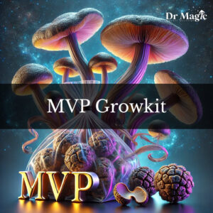 MVP Growkit to zaawansowany zestaw do hodowli grzybni Psilocybe cubensis, stworzony dla entuzjastów mykologii.