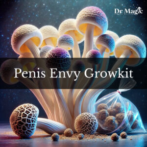 Penis Envy Growkit to profesjonalny zestaw do hodowli grzybów z gatunku Psilocybe cubensis, przeznaczony do celów edukacyjnych i badawczych.