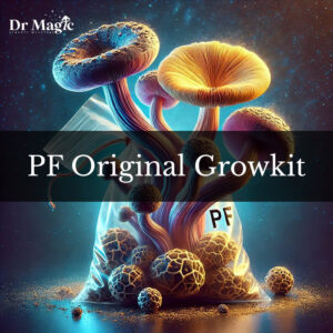 PF Original Growkit to zestaw startowy do domowych badań nad unikalną odmianą grzybów Psilocybe Cubensis, rozwiniętą przez znanego mykologa Roberta McPhersona (nazywanego „Psylocybe Fanaticus”).