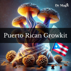 Puerto Rican Growkit to zestaw do hodowli grzybów psylocybinowych z gatunku Psilocybe cubensis, znanego z wyjątkowej siły działania oraz unikalnego pochodzenia.