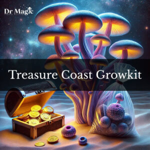 Treasure Coast Growkit to kompletny zestaw do domowej uprawy grzybów z gatunku Psilocybe cubensis (odmiana Treasure Coast, odkryta na Florydzie).